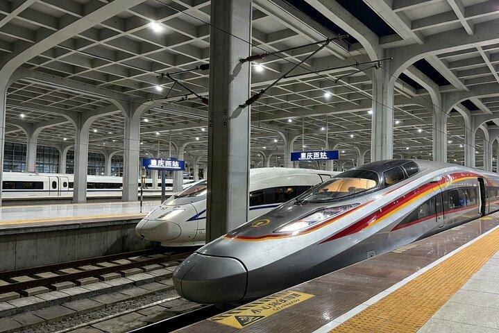 Private Departure Transfer from City Hotel to Chongqing Railway Station