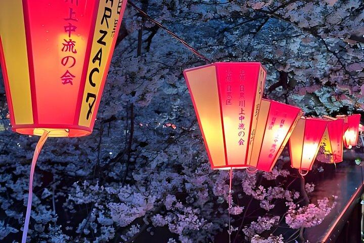 東京チームラボプラネッツ入場＆24時間地下鉄チケット