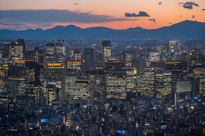 東京チームラボプラネッツ入場＆24時間地下鉄チケット