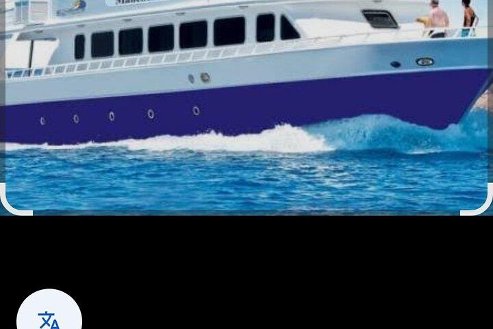 1 Tagestour von Luxor nach Safari Schnorchelbootfahrt