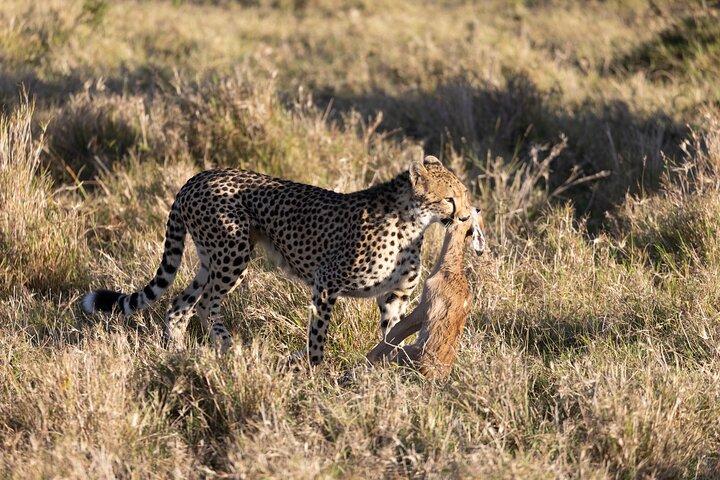 Safari privato di un giorno al Parco nazionale di Nairobi