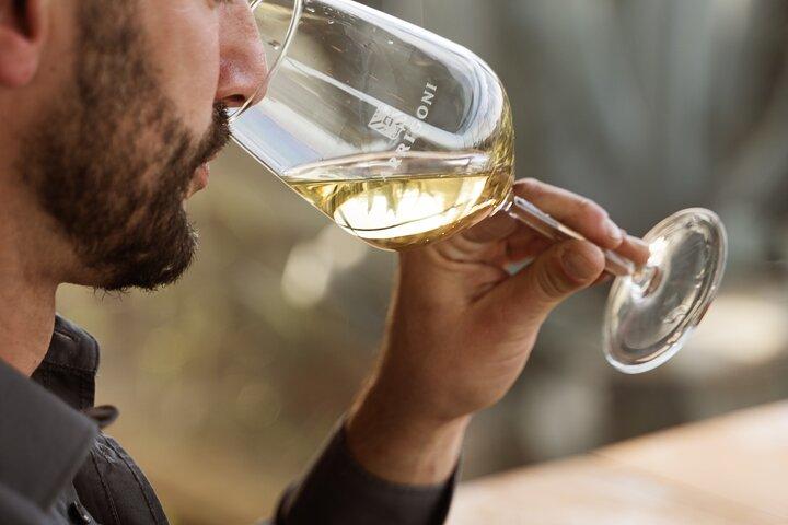 Déjeuner toscan avec 3 vins