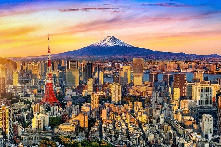Tokyo privat tur med bil med Engelska talande chaufför (Premium)