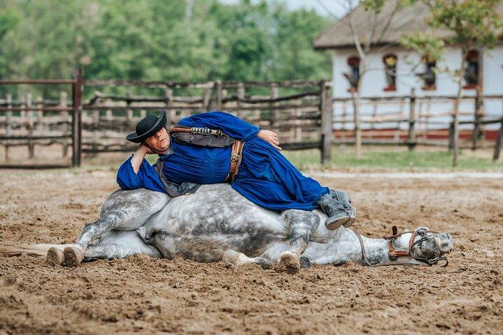 O Horse Show "Puszta"
