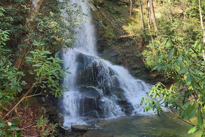 Catawba Wasserfall Wanderung Halbtagestour