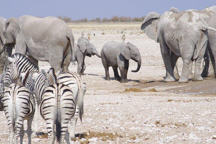 Safari in Namibia da 12 giorni