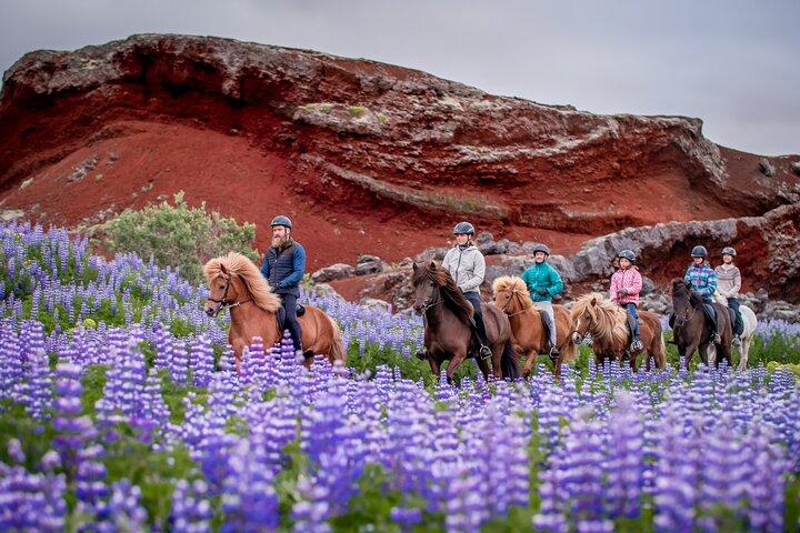 Icelandic Horseback Riding Tour from Reykjavik