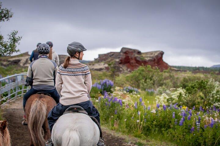 Tour a cavallo islandese da Reykjavik
