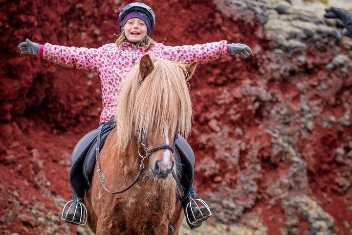 Tour a cavallo islandese da Reykjavik