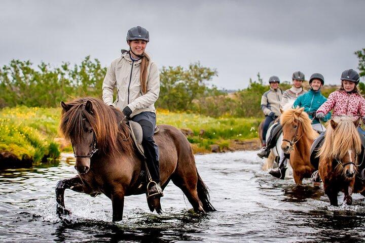 Tour a cavallo islandese da Reykjavik