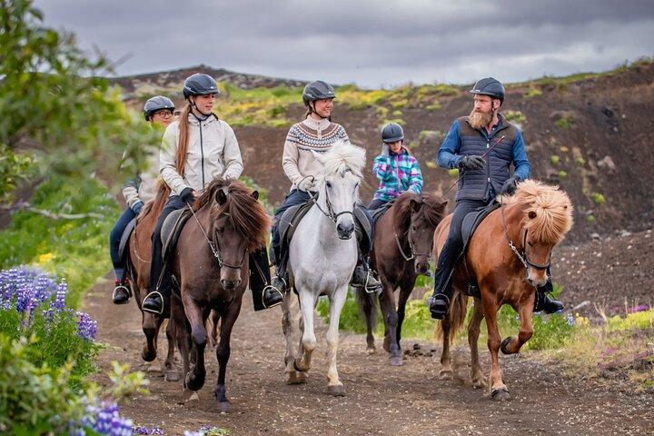 Tour a cavallo islandese da Reykjavik