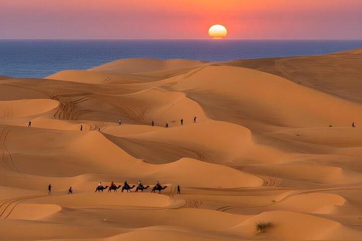 Excursión de sandboard a las dunas de Timlalin desde Agadir y Taghazout