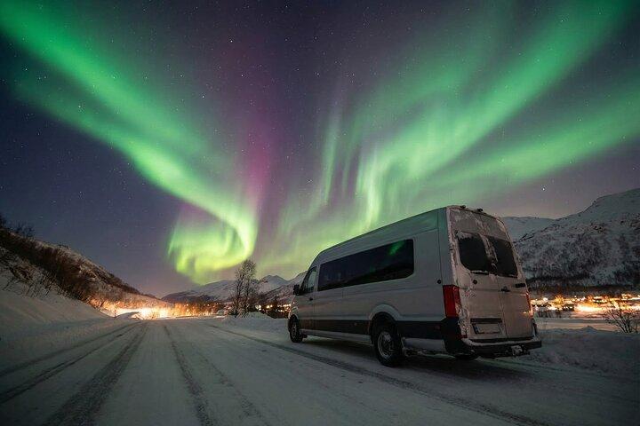 Norrsken Safari Tromso