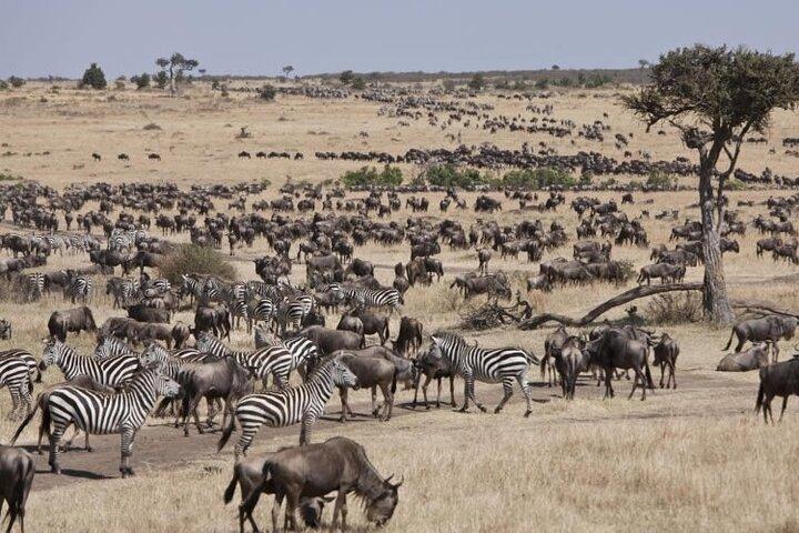 Gran migración Ndutu de 4 días y aventura en Ngorongoro