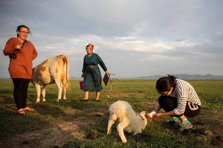 Khustain Nuruu National Park 2 Day Tour