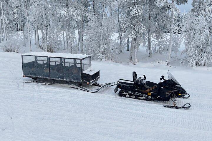 Arctic Forest Snowmobile Schlittenfahrt mit Snacks