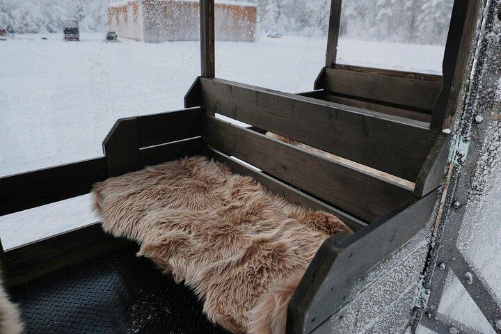 Arctic Forest Snowmobile Schlittenfahrt mit Snacks
