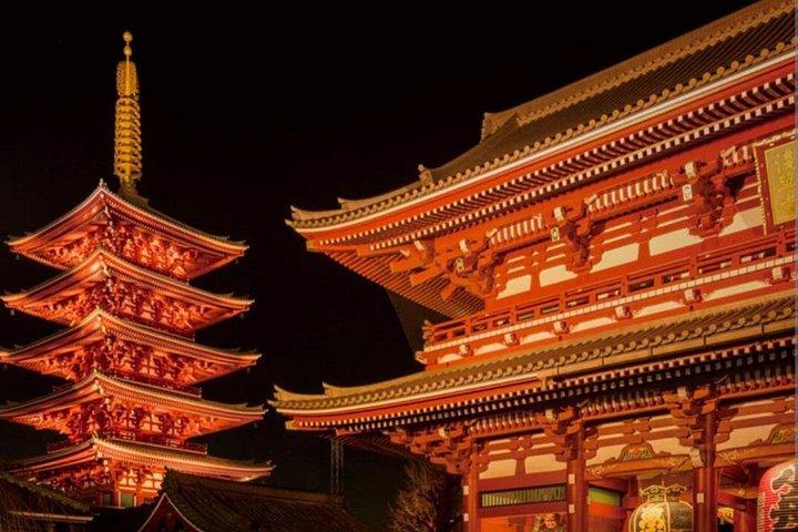 Night town and Cherry Light-up tour and Modern Samurai show