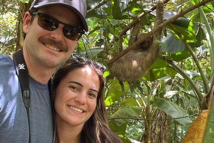 Waterfalls & hanging bridges and sloths