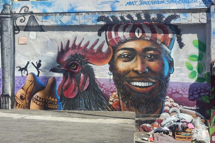 Lapa e Santa Teresa Street Art Experiência