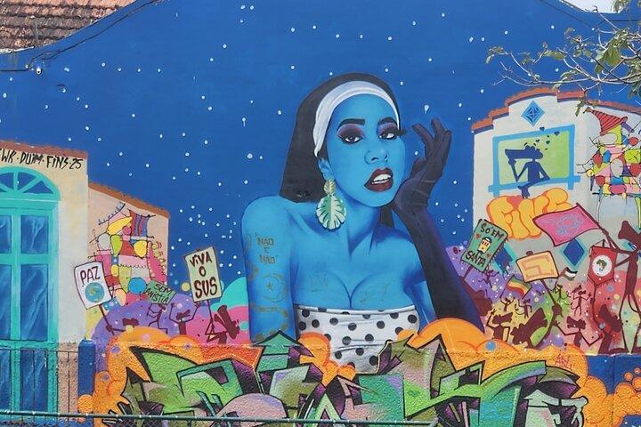 Lapa e Santa Teresa Street Art Experiência