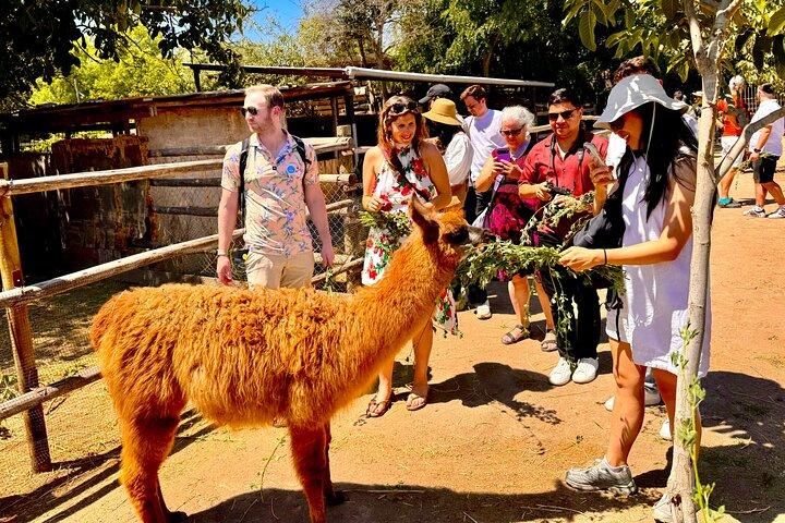 サンティアゴ発マイポバレーワインツアー。