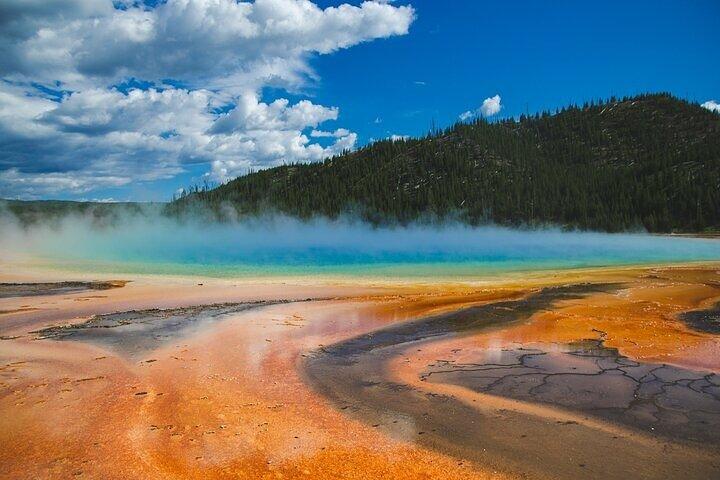 Yellowstone Grand Teton & Jackson Hole Visite entièrement guidée de 5 jours