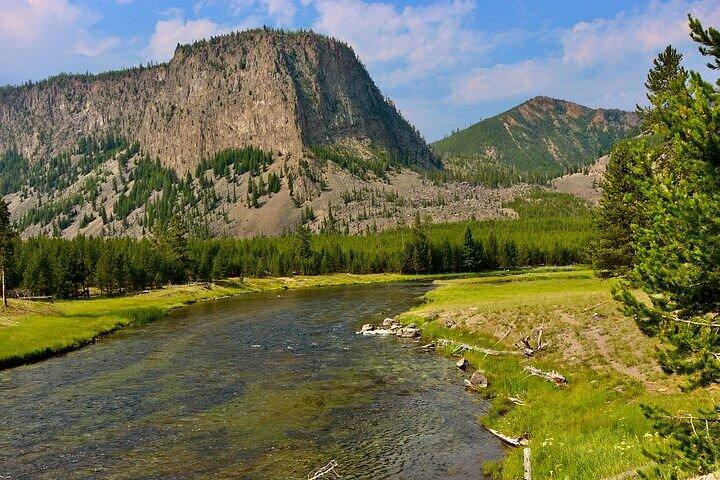Yellowstone Grand Teton & Jackson Hole Visite entièrement guidée de 5 jours