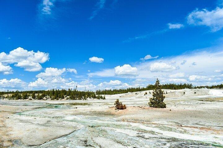 Yellowstone Grand Teton & Jackson Hole Visite entièrement guidée de 5 jours