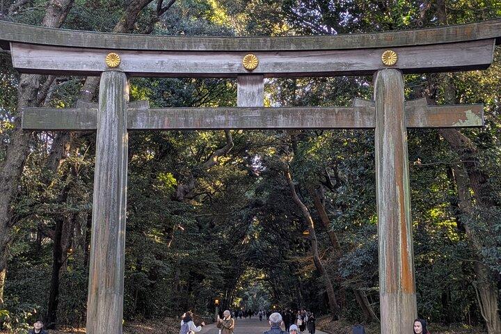 Meiji Jingu Shrine and Park Tour