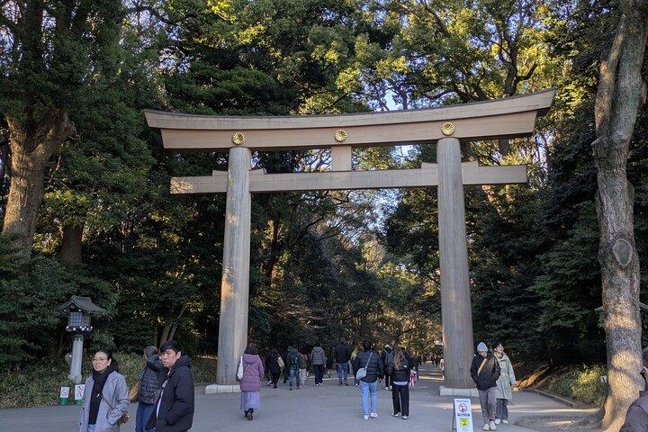 Meiji Jingu Shrine and Park Tour