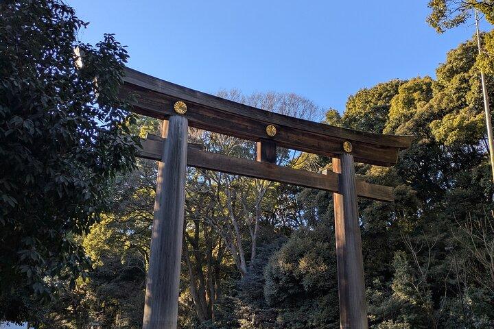 Meiji Jingu Shrine and Park Tour