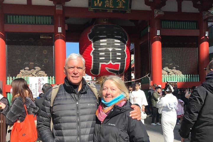 Tokyo Top 7 Sights Customized Car Tour with Licensed Guide