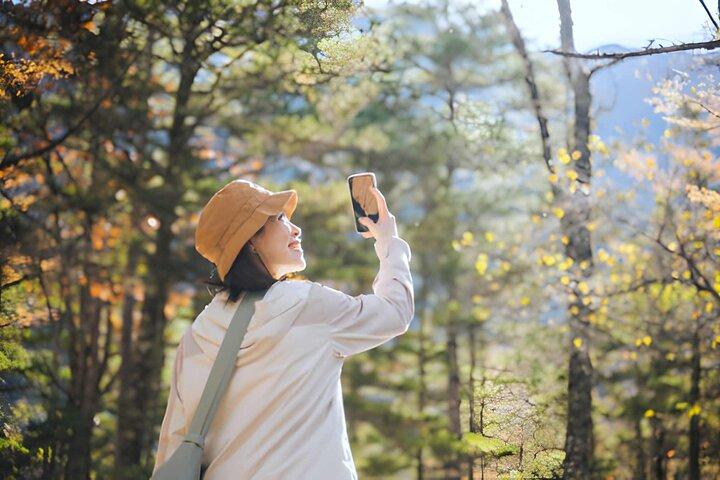 Tour privato di 3 giorni del patrimonio delle Alpi Giapponesi da Tokyo