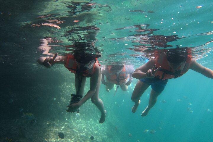 Snorkeling e indimenticabile gita in barca al Santuario di Los Arcos.
