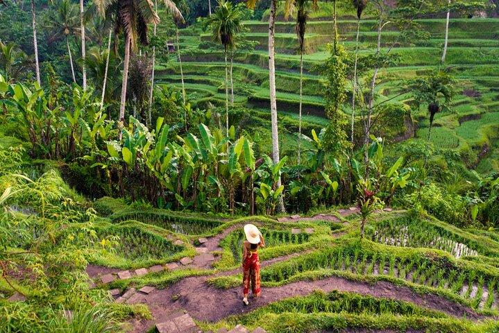 Authentic Ubud Experience with French Speaking Guide
