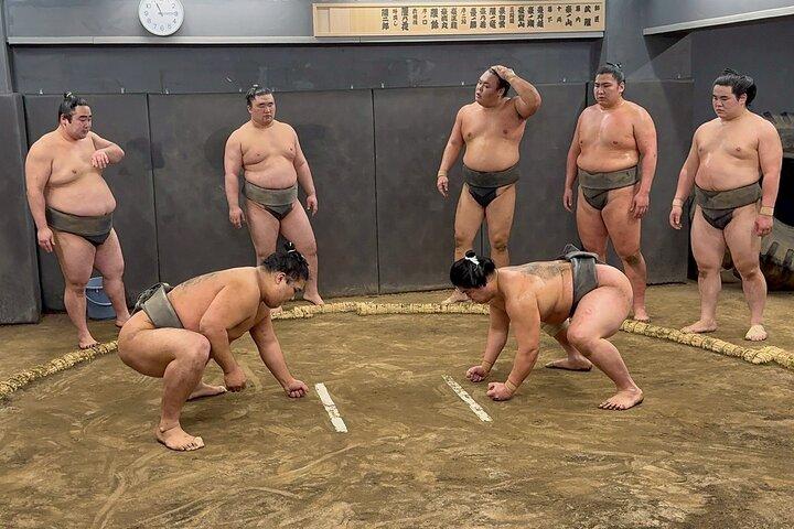 東京：本格的な相撲朝稽古