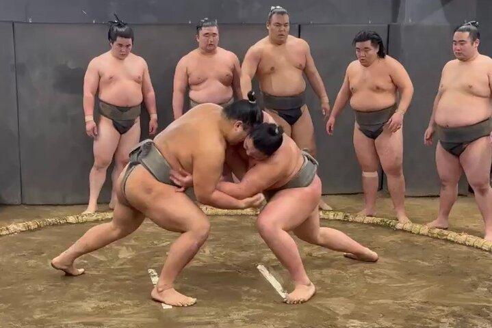東京：本格的な相撲朝稽古