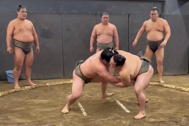 東京：本格的な相撲朝稽古