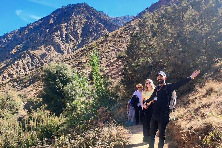 Atlas Mountains: Ourika Valley guidet dagstur fra Marrakech