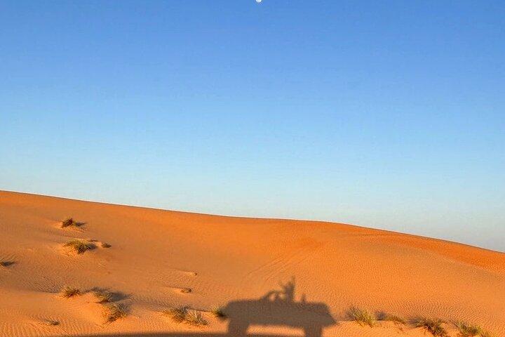 Private Wahiba Sands and Wadi Bani Khalid Day Tour from Muscat