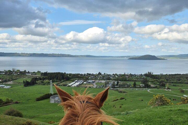Aventure de randonnée à cheval à Rotorua