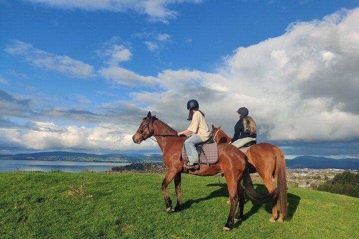 Aventure de randonnée à cheval à Rotorua
