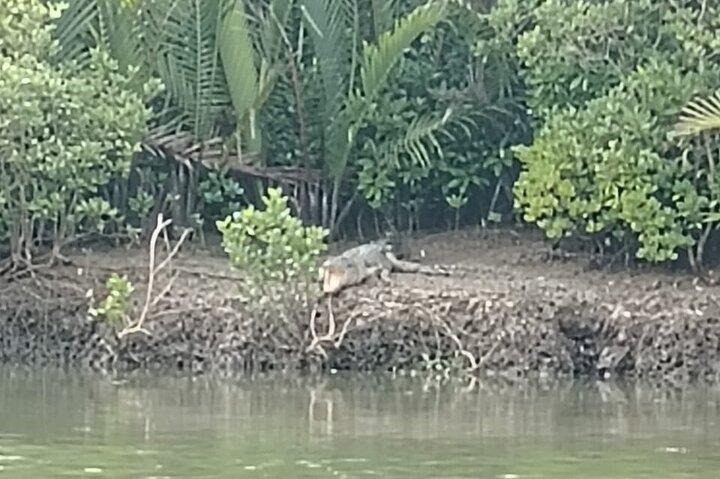 Santubong Wildlife Cruise au départ de Kuching