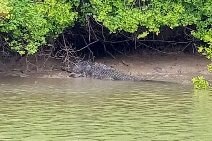 Santubong Wildlife Cruise au départ de Kuching