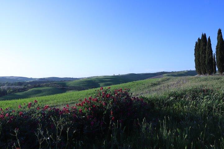 Montalcino e-bike tour and Brunello tasting