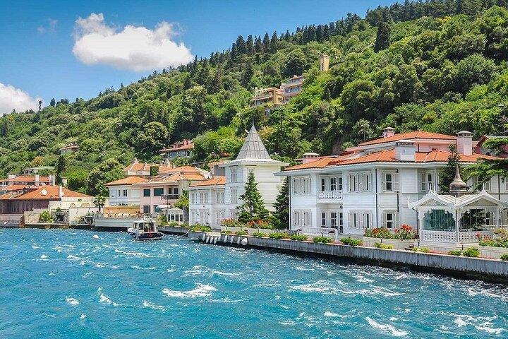 Istanbul All-Inclusive Princes’ Islands Tour+Lunch & Hotel Pickup