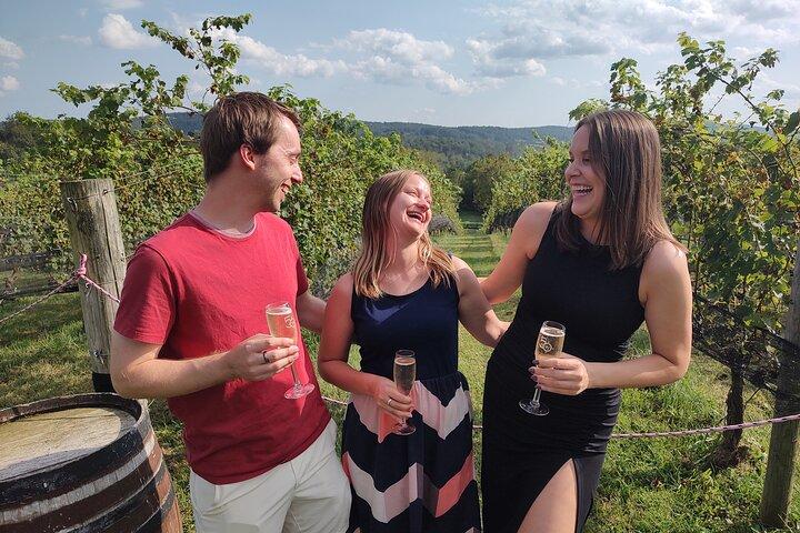 Harpers Ferry a VA Wine Country Tour di 4 ore per 4 ospiti
