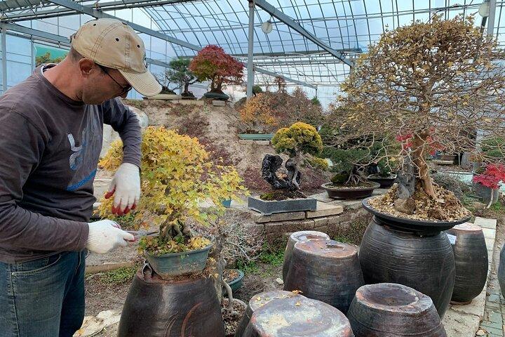 静かなソウルガーデンで韓国語盆栽体験