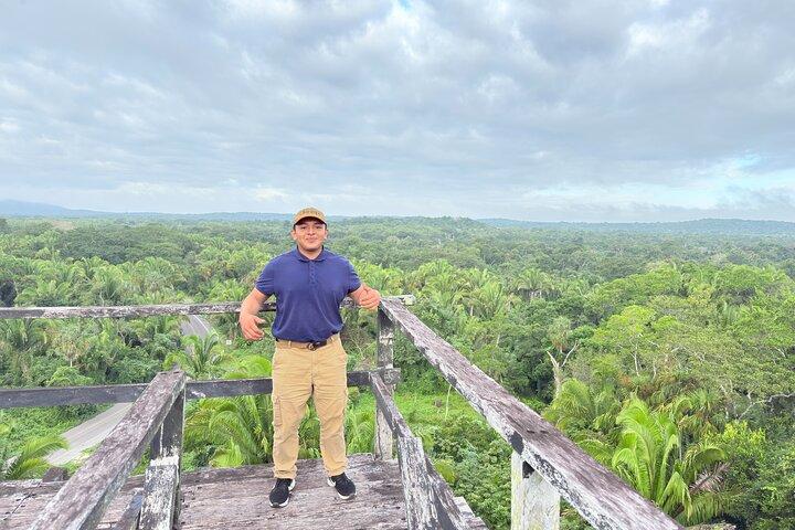 Descoberta de pirâmides gigantes e liberdade da selva maia